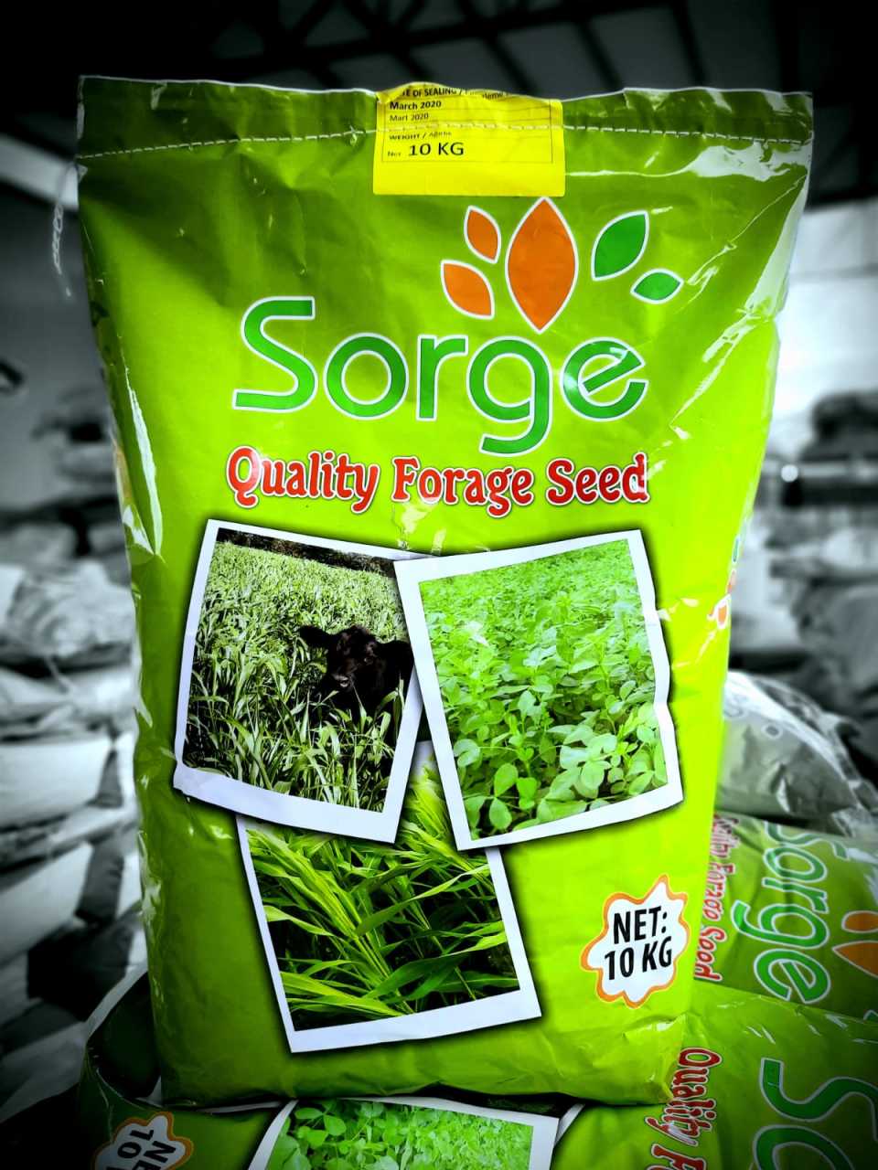 Sorgun Sorge Sudan Otu Tohumu-10 Kg