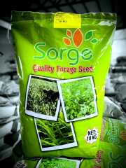 Sorgun Sorge Sudan Otu Tohumu-10 Kg