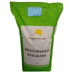 İtalyan  EXTREM Çimi/Süt Otu/Ryegrass Tohumu-25 Kg