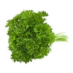 Aromatik Kokulu Frenk Maydanoz Fidesi-10 Adet