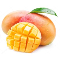 Saksıda Yetişebilen Mango Fidanı 5 Adet